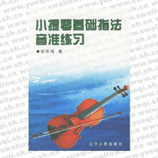 小提琴基礎(chǔ)指法音準練習(xí)